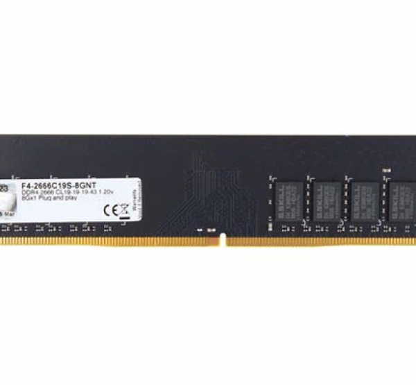 RAM Gskill 4GB bus 2666 F4-2666C19S-8GNT DDR4  